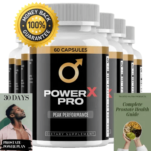 PowerX Pro price